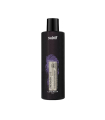 Retouch'Lab Correction Color-Boosting Shampoo Ash 250ml