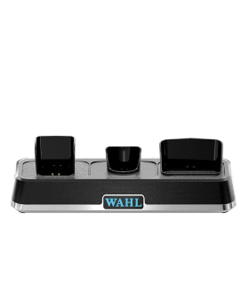 Wahl Power Station  | Celini.be