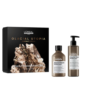 L'Oréal Professionnel Coffret Duo Série Expert Absolut Repair Molec...